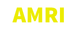 AIR MOBILITY RESEARCH INSTITUTE